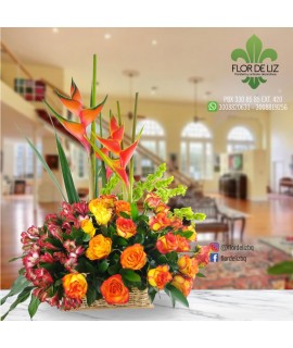 RESPLANDECIENTE RESPLANDECIENTE